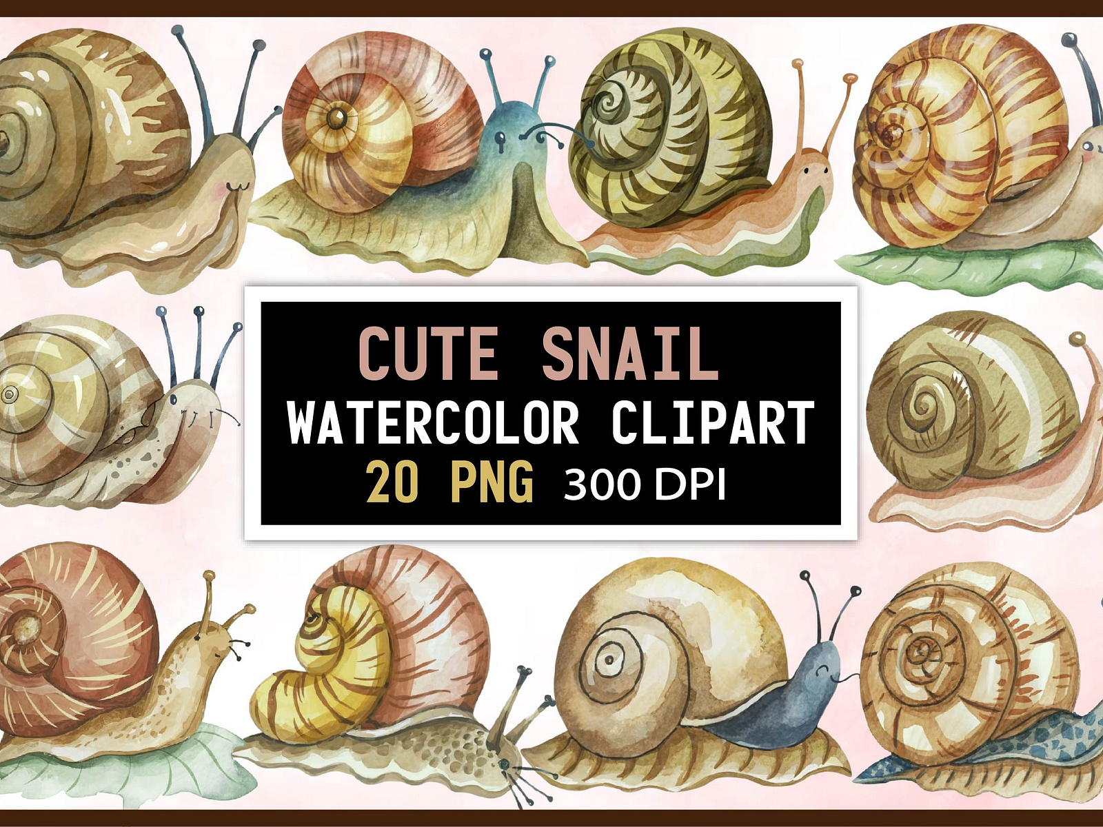 Watercolor Snail Clipart by CrazyDelight on Dribbble