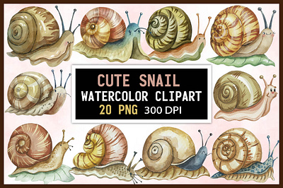 Watercolor Snail Clipart snail shell