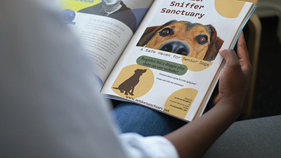Magazine Advertisement for Dog Sanctuary ad campaign flyer graphic design magazine