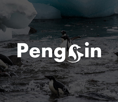 Penguin logo design 3d animation branding design graphic design illustration logo logo design motion graphics typography ui ux vector