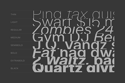 Certia - Weight Layout branding design font graphic design modern font sans serif type design typeface typography