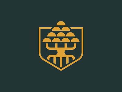 Ancient Tree Shield Logo 🔖(For Sale) brand identity branding creative defense design graphic design growth identity illustration logo modern monogram protection shield simple tree vector