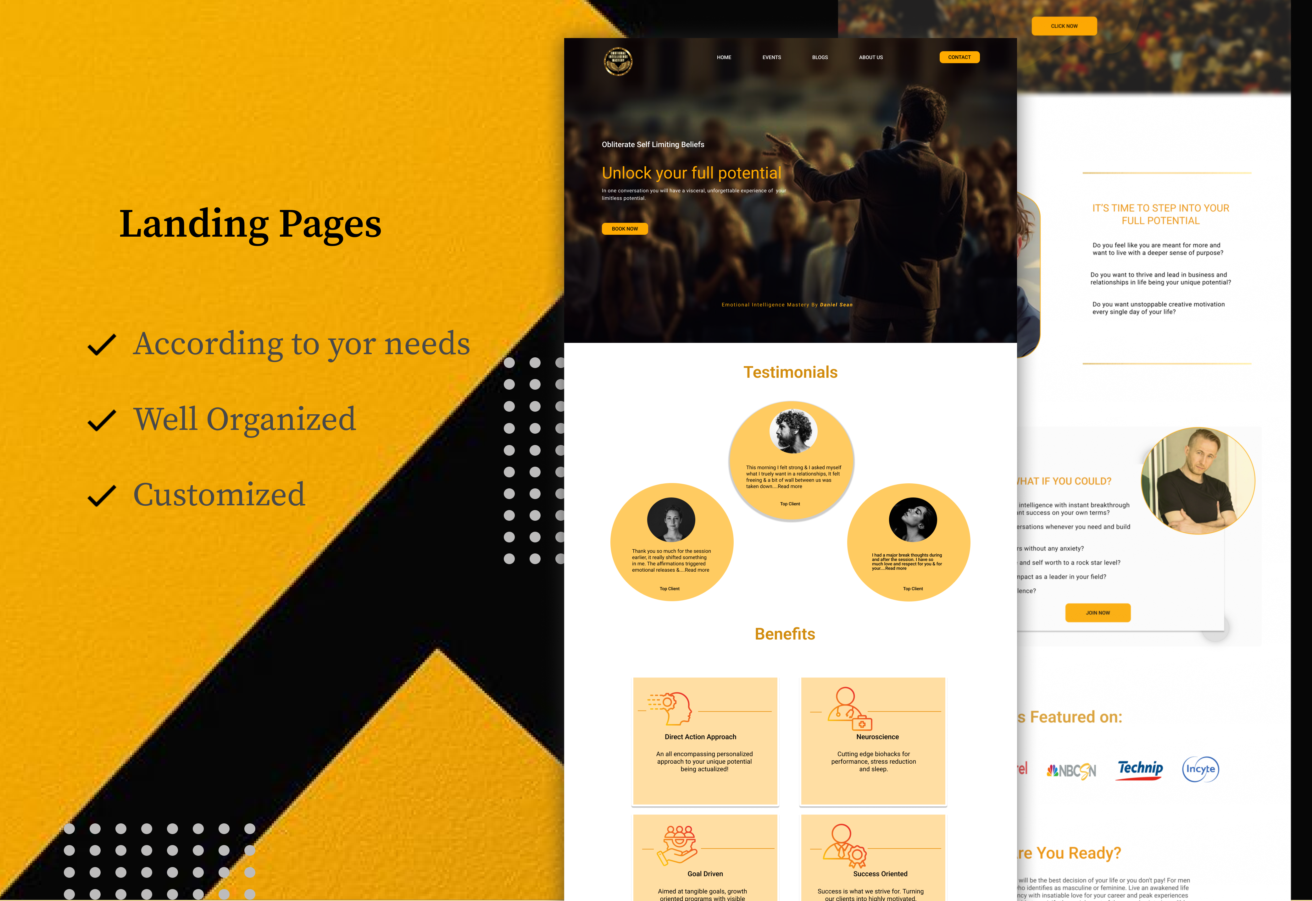 Example of I Will Design Stunning Word Press Website
