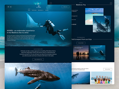 Website Design for Travel Agency blue business concept corporate landing page travel user interface ux website design дизайн сайта