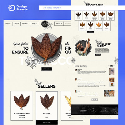 Leaf Supply Web Design