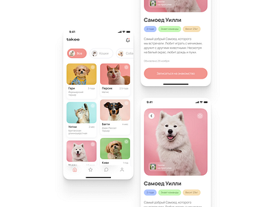 mobile application for the shelter graphic design ui