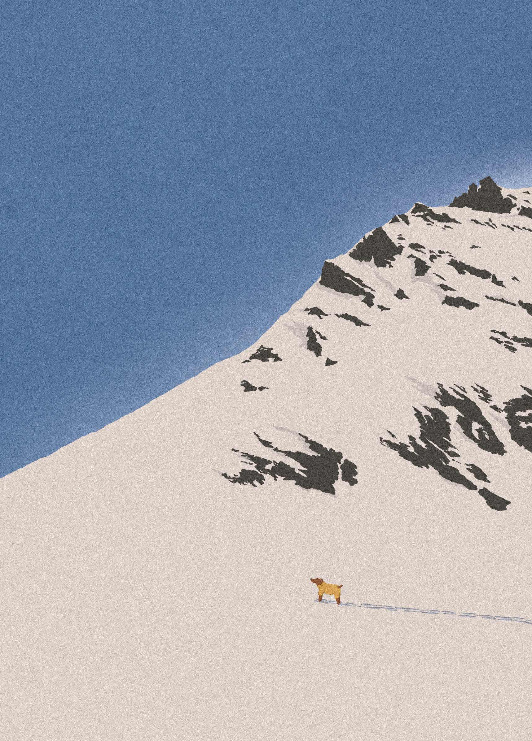 hiking adventures illustration pictures