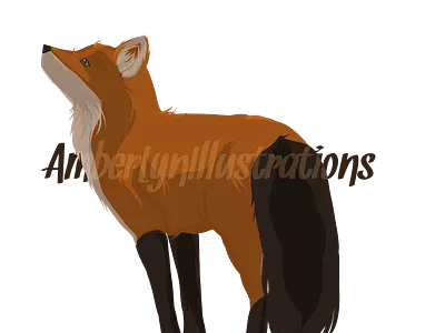 Fox Peek amberlyn animal fox illustration vector winter