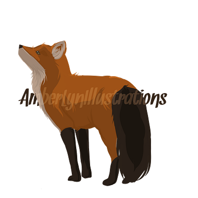 Fox Peek amberlyn animal fox illustration vector winter