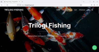 Website - Trilogi Fishing branding graphic design motion graphics