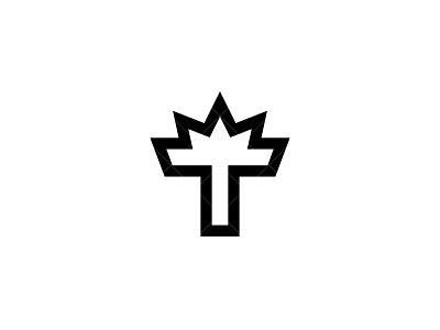 Crown Letter T Logo branding crown letter t logo crown logo design digital art icon identity letter t crown logo lettermark logo logo design logotype luxury t logo monogram royal logo t logo ideas typography vector