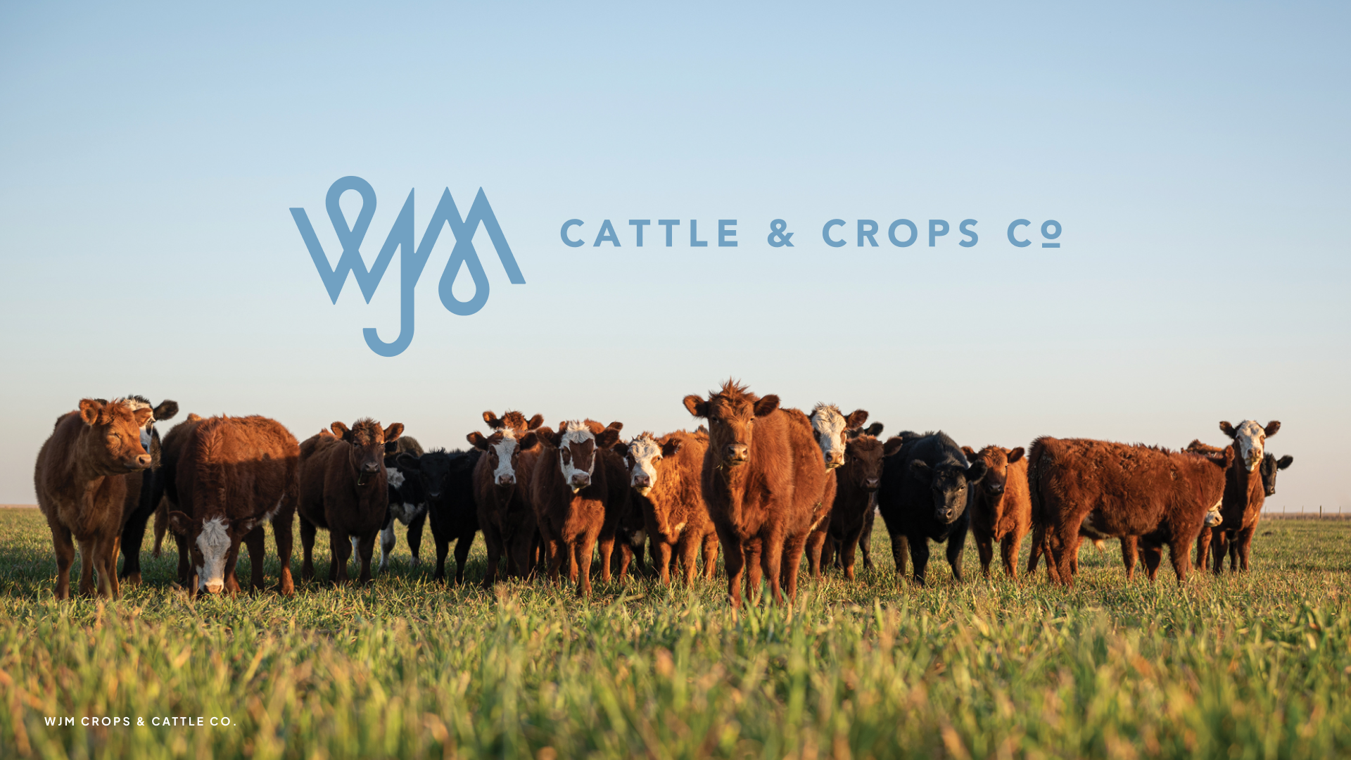 WJM Cattle & Crops Co. Logo agriculture agriculture logo brand branding cattle cattle brand cattle logo cow cow logo cows farm farm logo farmer farming farming logo georgia logo design logo designer