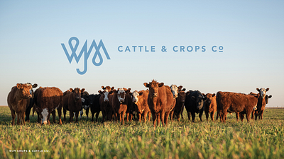 Cattle ranch brand needed for actual cattle branding and signage