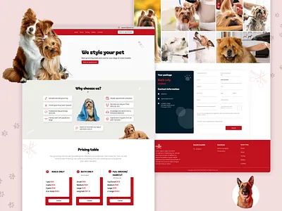 Website Design for 4 Perfect Paws brand branding design digital digital art graphic design grooming identity branding pet pet brand ui ui ux ux web web design website website design