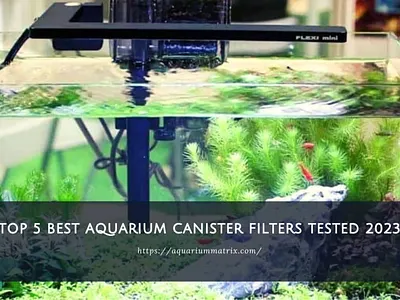 Top 5 best aquarium canister filters tested 2023 graphic design