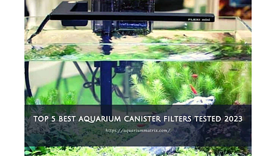 Top 5 best aquarium canister filters tested 2023 graphic design
