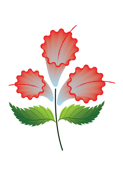 Hibiscus Flower Design design flower graphic design illustration photoshop portfolio vector