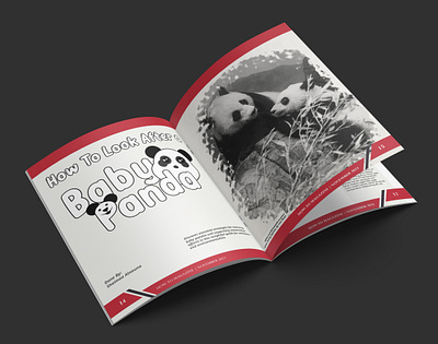 Panda-Themed Magazine Design design fanshawe college graphic design illustration illustrator magazine panda print product design vector