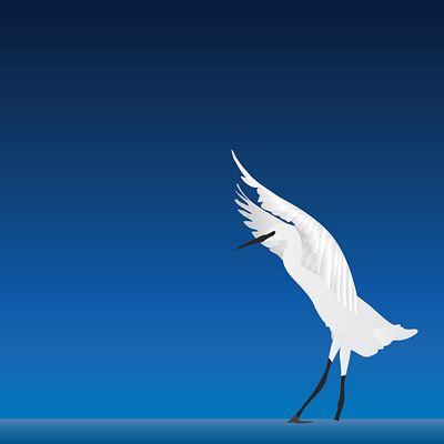 Vector art Little egret art illustration vector