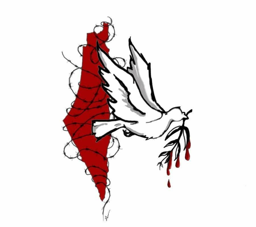 free Palestine 3d animation graphic design logo ui