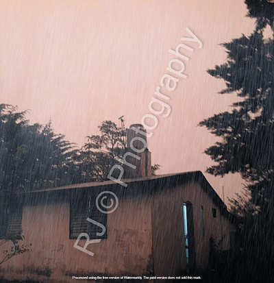 Pluie house nostalgia pink rain