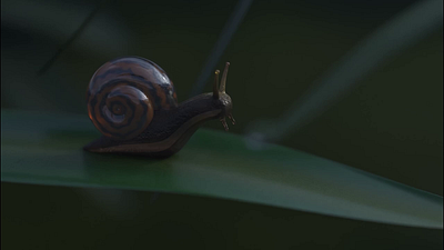 snail is snailing 3d 3d modeling animation blender