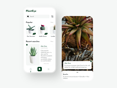 Plant Identifier APP UI UX Design app ui design app ui ux design plant finding app plant identifier app plant identifying app