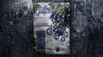 BLUE GRAPE INFOGRAPHIC blue grape botanical botanical grape grape grape botanical graphic design health illustration info infographic