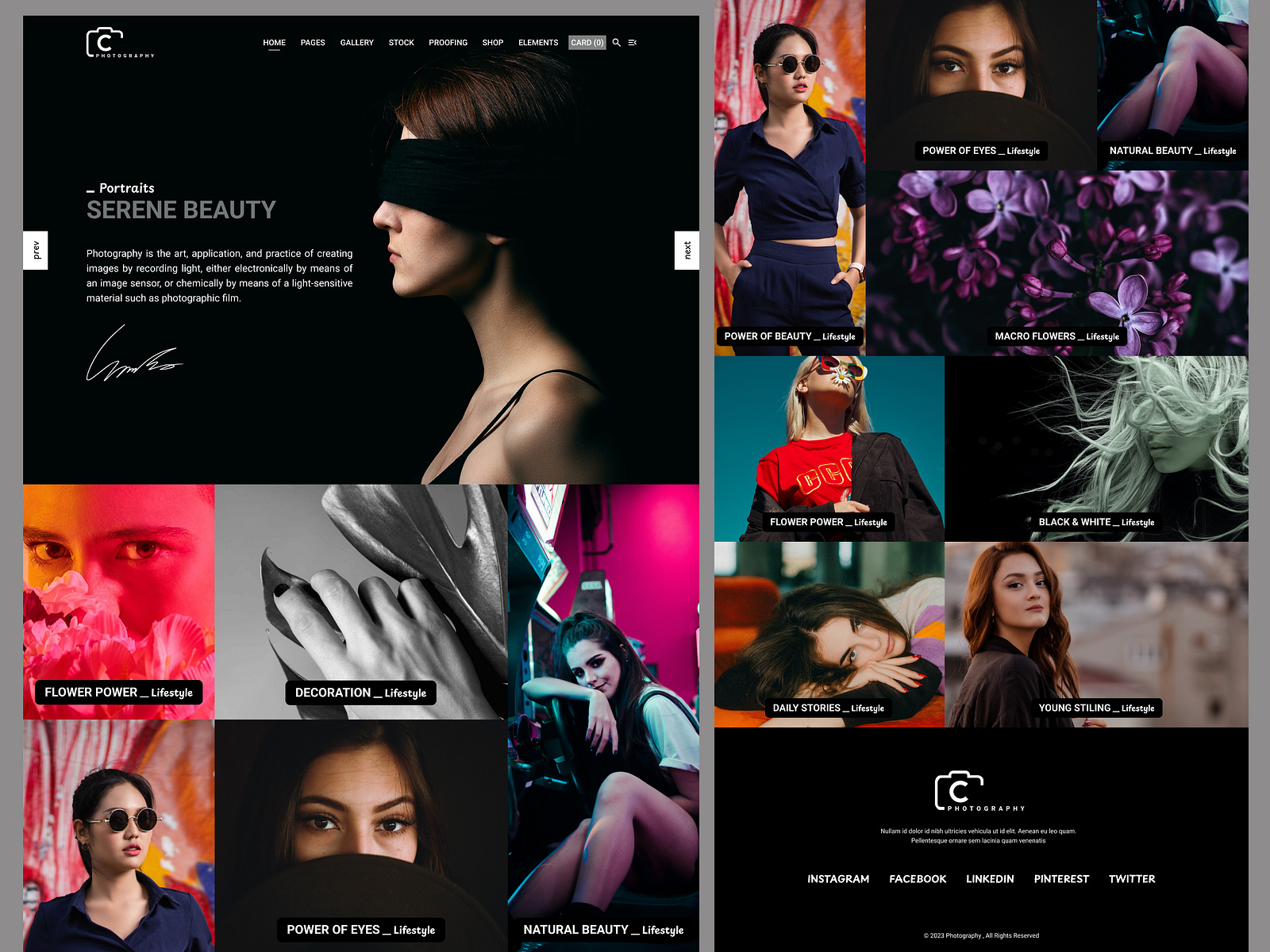 Photography Portfolio UI by Md Nasim Sarower on Dribbble