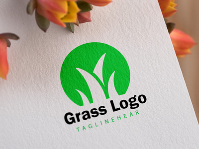 GRASS LOGO 3d animation brand identity branding design graphic design illustration logo motion graphics ui unique logo ux vector