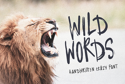 Wild Words handwritten textured font typeface design quirky font