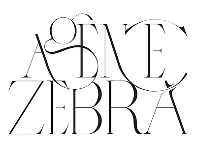 typography Zebra Agency graphic design logo typography