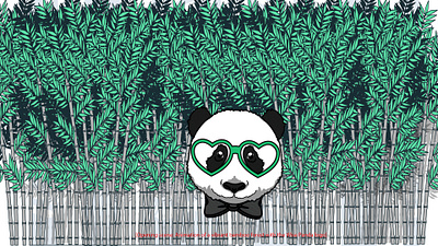 Wise Panda (Project) 2d animation branding graphic design logo motion graphics ui