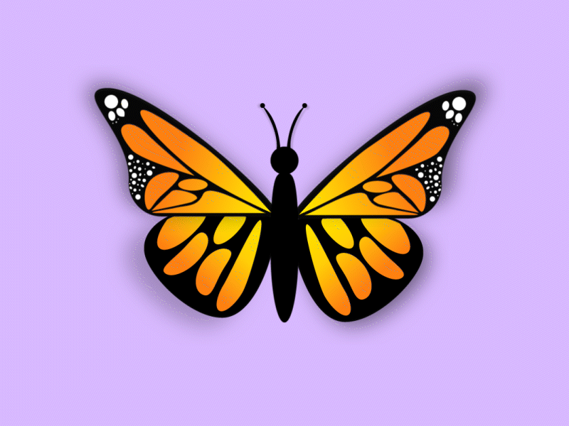 butterfly fly away 🦋 adobe after effects adobe illustrator animated animation butterfly byjane.creative dribbble illustration motiongraphics selftaught