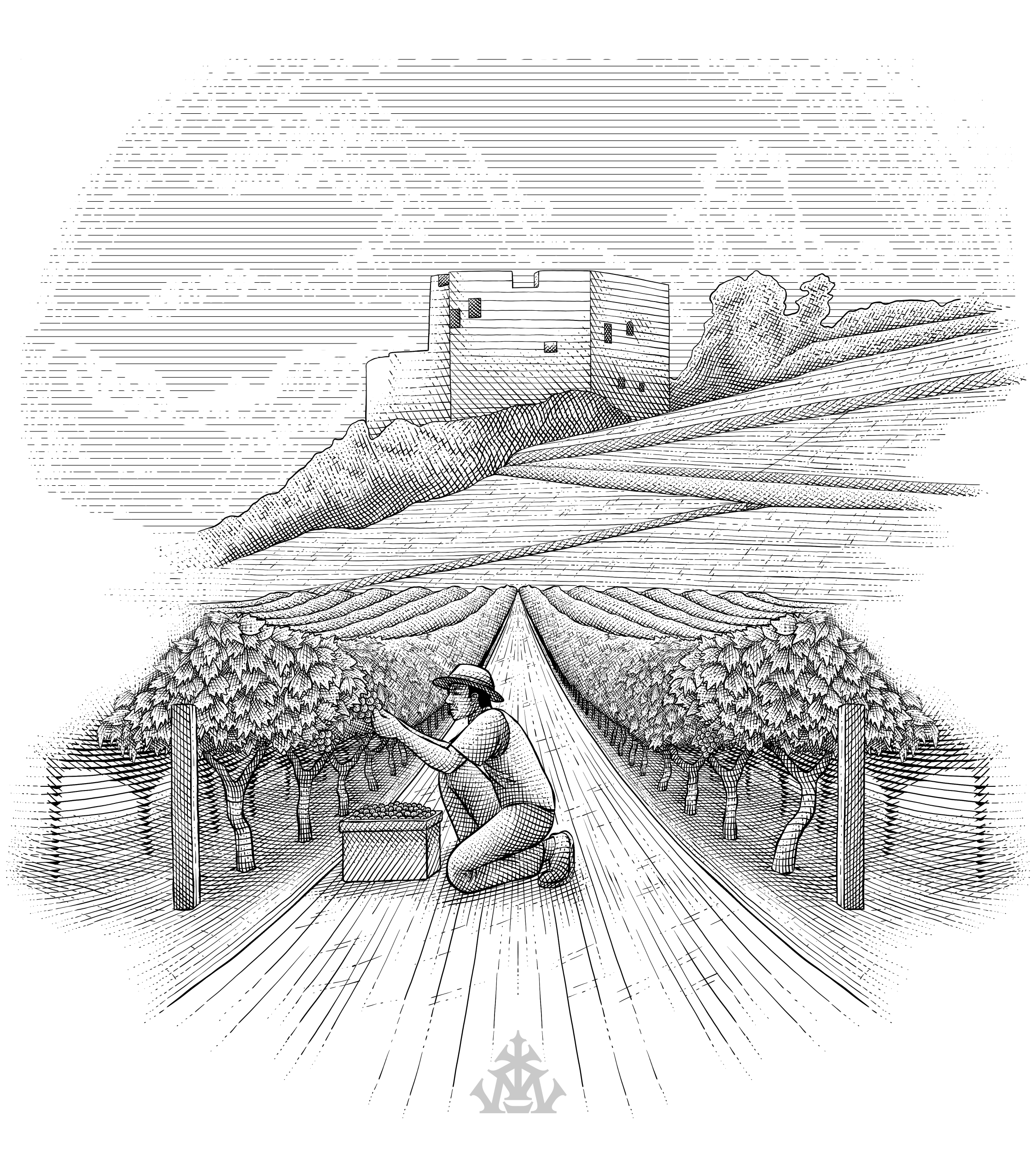 Example of Packaging Or Label Design