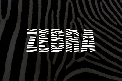 Zebra Sans Serif Fonts animal branding design designer display drawing font fonts graphic design handwriting illustration letter sans serif tatto typography vector vintage visual web zebra