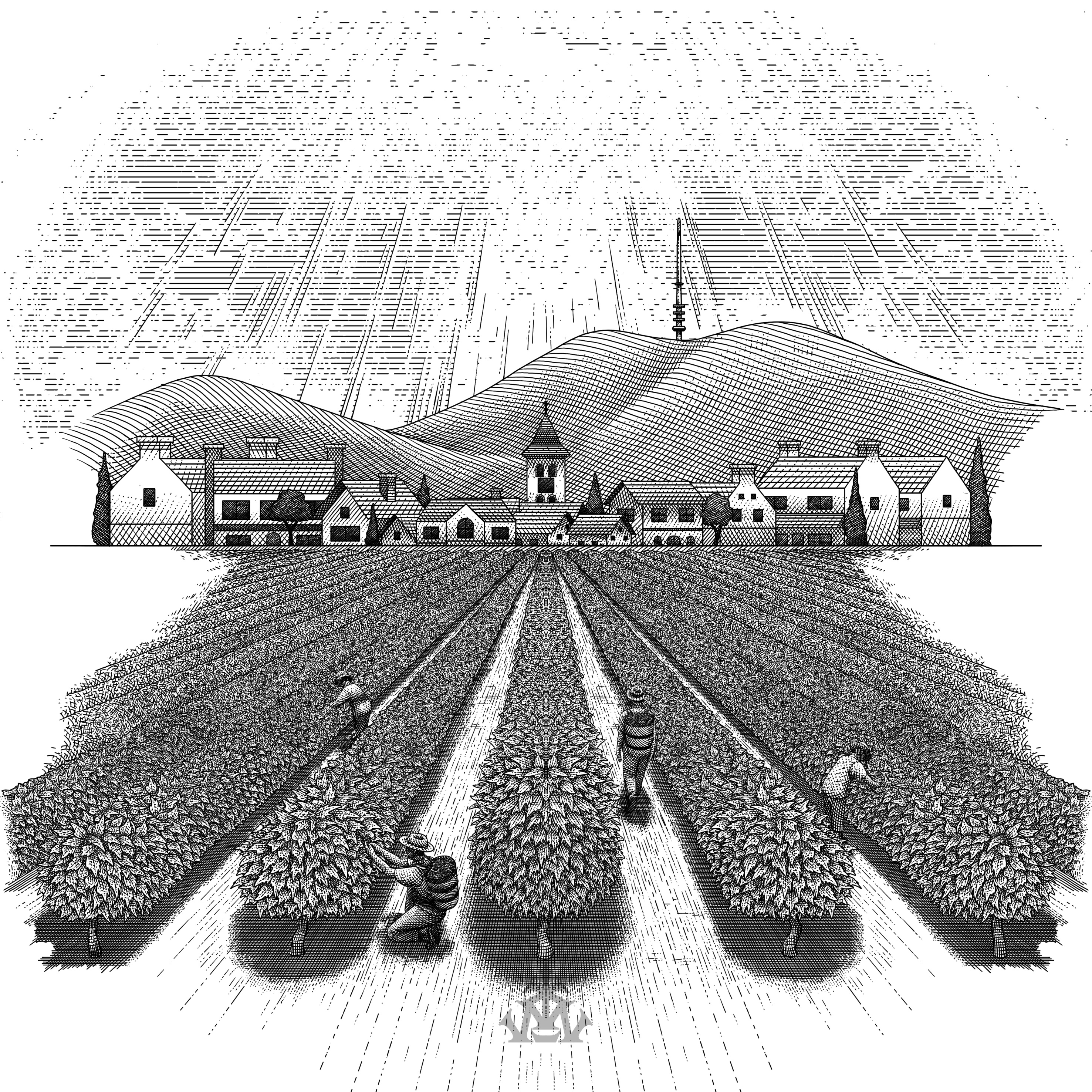 Example of Packaging Or Label Design