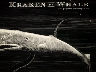 Kraken Rum Illustrations Created by Steven Noble animation animator artwork engraving etching illustration kraken rum line art penandink scratchboard steven noble woodcut