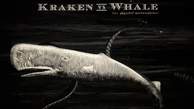 Kraken Rum Illustrations Created by Steven Noble animation animator artwork engraving etching illustration kraken rum line art penandink scratchboard steven noble woodcut