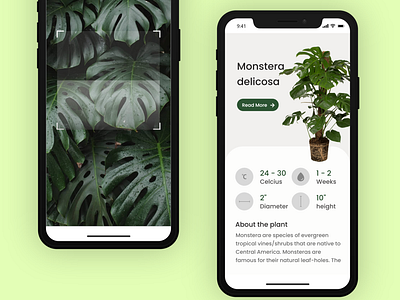 Plant Detector APP Design Concept app uiux design plan detector app desing plant app design