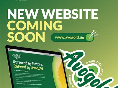 Avogold Website Coming Soon - 50% Completed branding call to actions design developer digital experience graphic design logo marketing product design search engine optimization social media ui user interface web design web developers web development webpage design website website designer website launch
