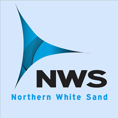 NWS LOGO 3d adobe graphic design logo vector