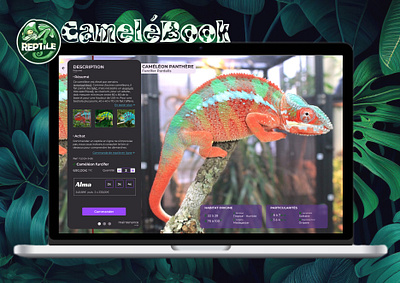 CaméléBook : fiche d'entretien furcifer panthère caméléon e commerce figma graphic design reptile ux uxui design