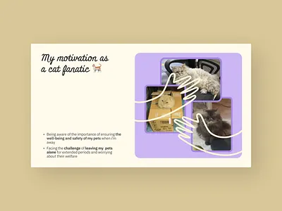 Design for pets - Presentation Layout Exploration exploration illustration presentation presentation design ui ui design visual design