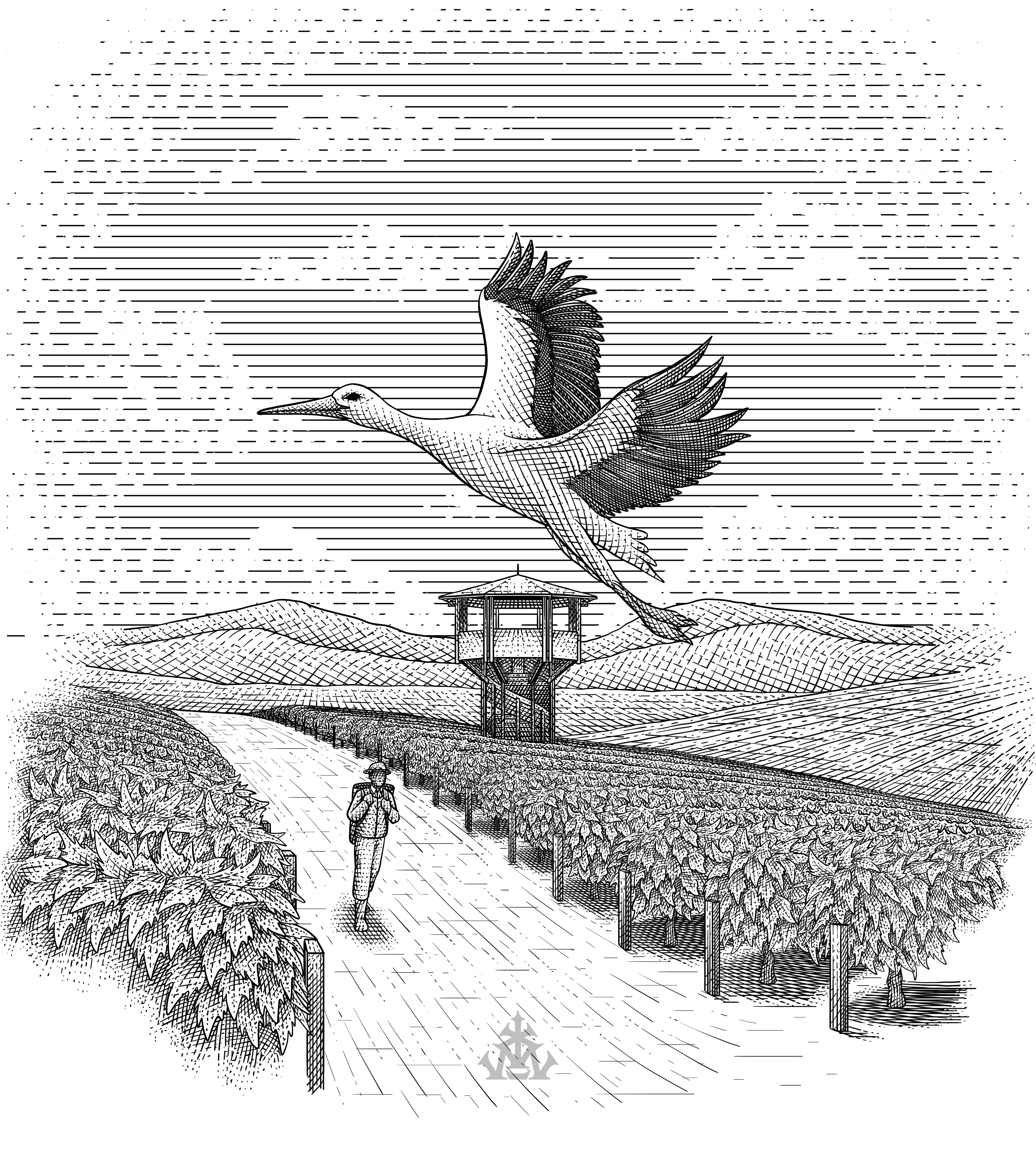 Example of Packaging Or Label Design