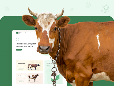 Center for reproduction of farm animals design graphic design ui ux