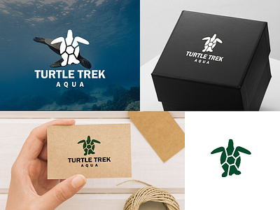 Turtle trek aqua art branding design graphic design illustration illustrator logo photoshop turtle logo typography vector visual design