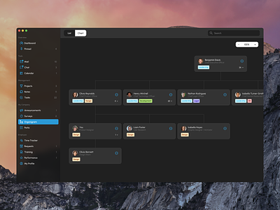 Founder Tools - Organigram chain of command corporate chart dark theme flow chart hierarchy chart hierarchy diagram management chart native design organigram organization chart reporting structure staff chart structure chart user experience