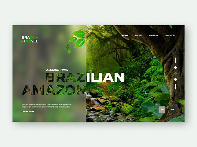 The first screen of the BRAZIL TRAVEL concept design traveling typography ui ux uxui web design web