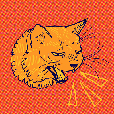 Hiss off! animals cat gif graphic design hissing cat illustration